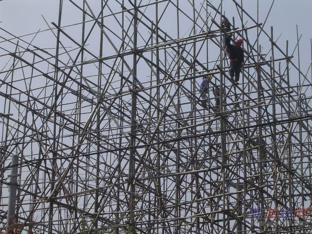 上海虹口区毛竹脚手架虹口毛竹脚手架搭建 搭建毛竹架子