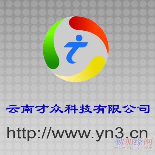 高中生社会调查报告