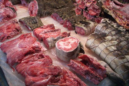 泰国猪肉价格上涨鳄鱼肉成平替_经济学解释猪肉上涨_鸡胸脯肉跟猪肉酥肉哪个好吃