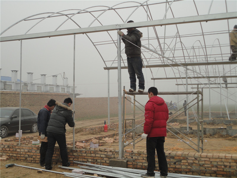 大棚骨架建设 供应大棚配件智能温室设计安装