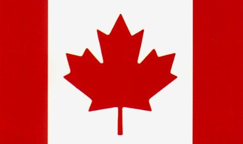 加拿大旅游签证加急最快几天能岀签_加拿大旅