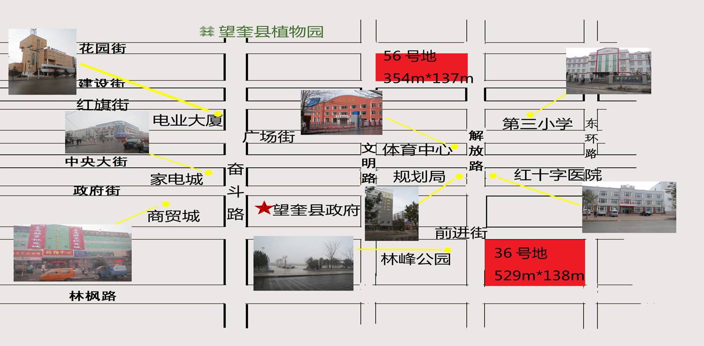 黑龙江望奎县216亩土地项目拍卖