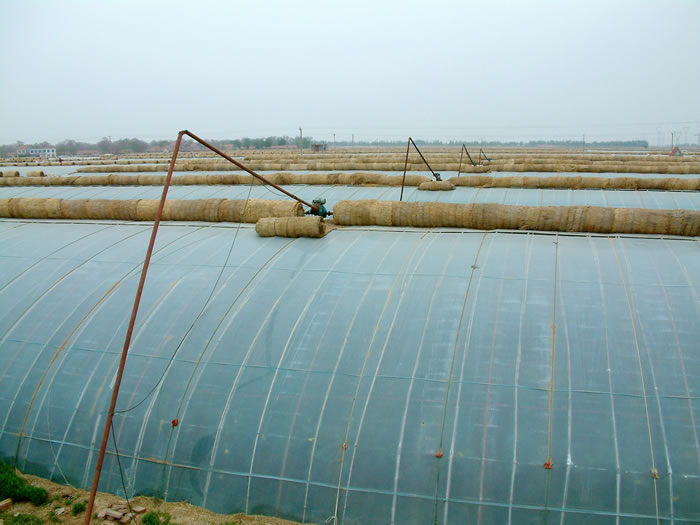 大棚建设,蔬菜大棚建设等产品推向全国市场,尤其在供应大棚卷帘机