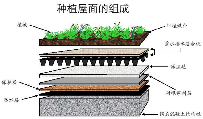 阿图什绿化排水板厂家供应