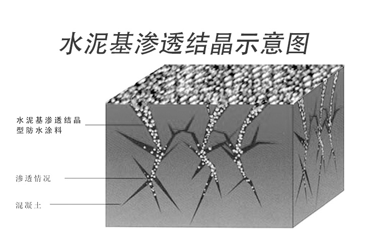 水泥基渗透结晶型防水涂料图