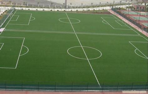 天津市小型\/标准\/五人制足球场人造草坪人工草皮