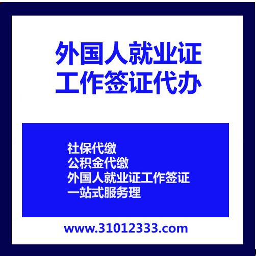 外国人来华办理就业证-就业签证办理-上海境内