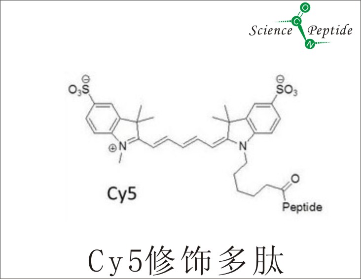cy5荧光标记多肽