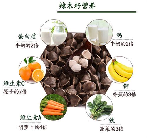 【宜先知(图)_精选辣木籽厂家_辣木籽