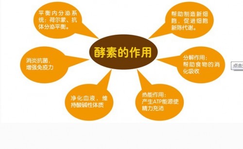 宁波进口台湾食品清关单据如何审理